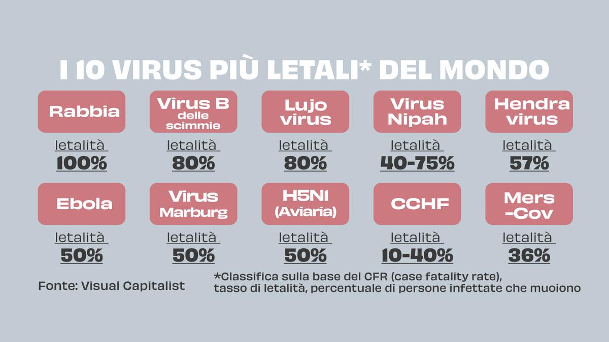 L'aviaria potrebbe diventare la malattia X, monito per la comunità scientifica globalizzata