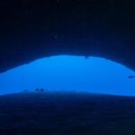 Morte della professoressa Montefalcone e di altri italiani: richiesta di nuove leggi sulle immersioni tecniche alle Maldive