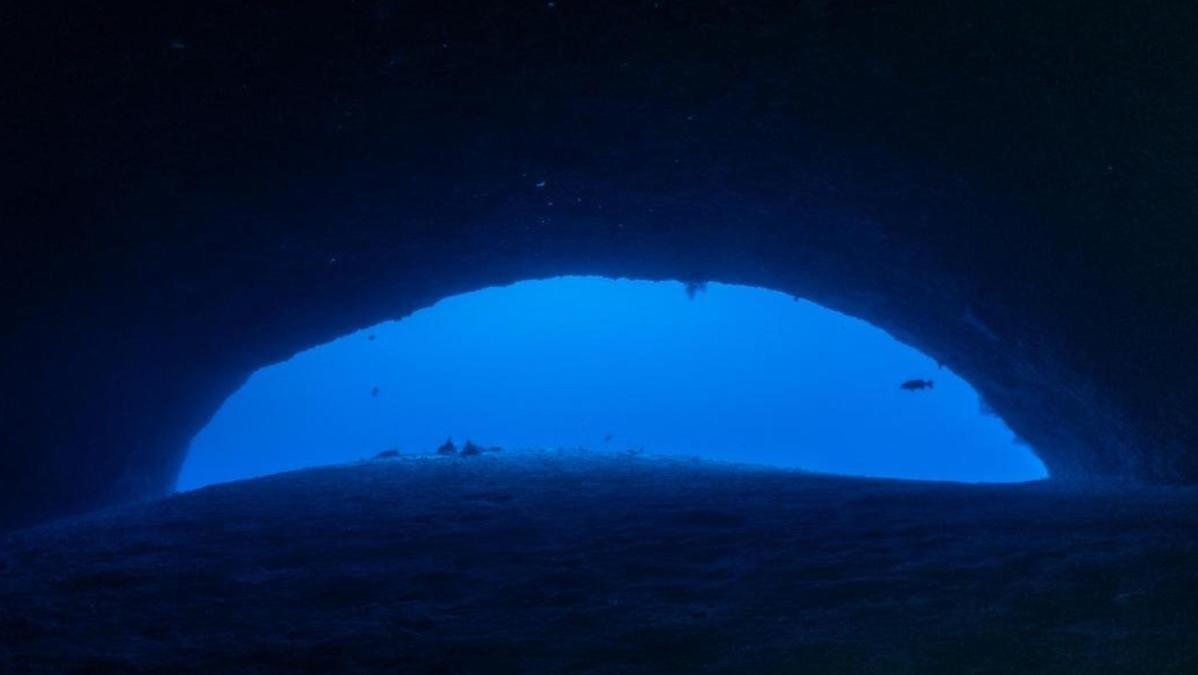Morte della professoressa Montefalcone e di altri italiani: richiesta di nuove leggi sulle immersioni tecniche alle Maldive