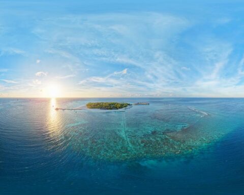Scoperta delle grotte di Alimatha: habitat unico per gli squali nelle Maldive