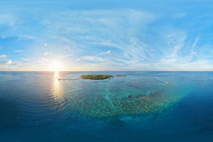 Scoperta delle grotte di Alimatha: habitat unico per gli squali nelle Maldive