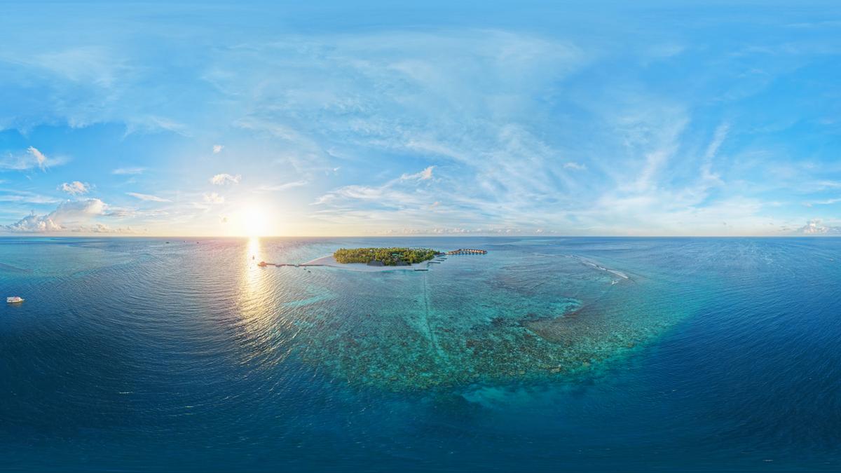 Scoperta delle grotte di Alimatha: habitat unico per gli squali nelle Maldive