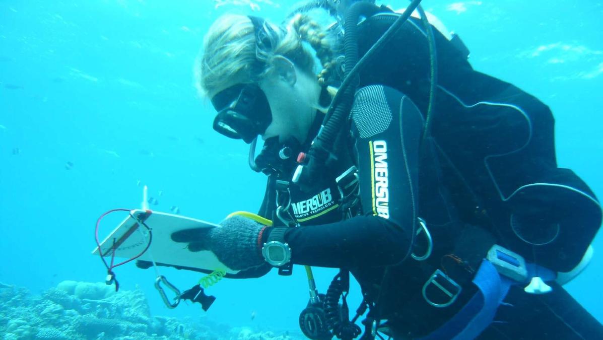 Tragedia alle Maldive: cinque sub italiani morti a causa della tossicità dell'ossigeno