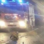 Tragedia sul Grande raccordo anulare: morto un uomo che prestava soccorso dopo un incidente