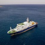 Tre morti per epidemia di hantavirus a bordo della nave MV Hondius nell'Atlantico