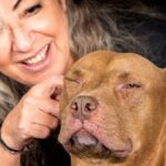 Truffe sui cani: il caso di Mityana e la lotta contro il commercio illegale in Italia