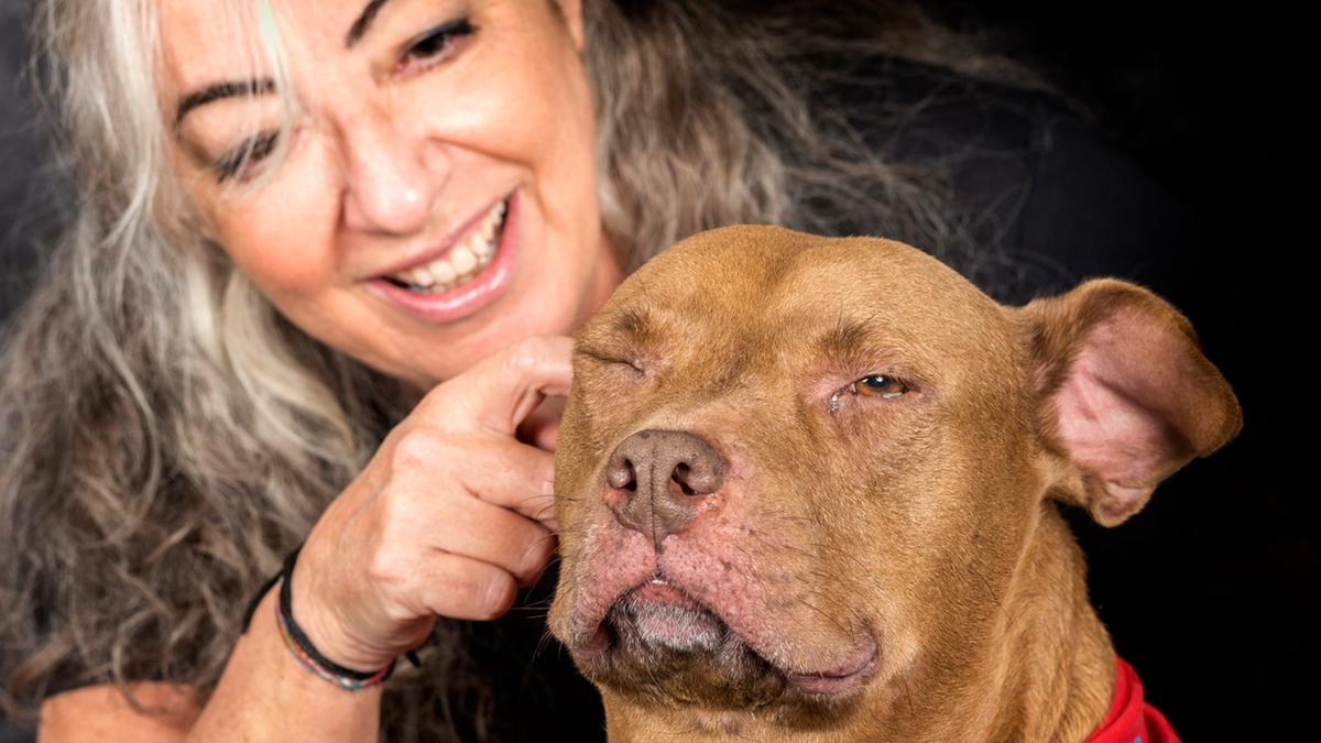 Truffe sui cani: il caso di Mityana e la lotta contro il commercio illegale in Italia