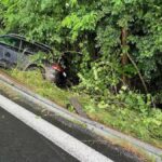 Emanuele Pozzolo sospeso dalla patente per un anno dopo un incidente con tasso alcolico doppio rispetto al limite