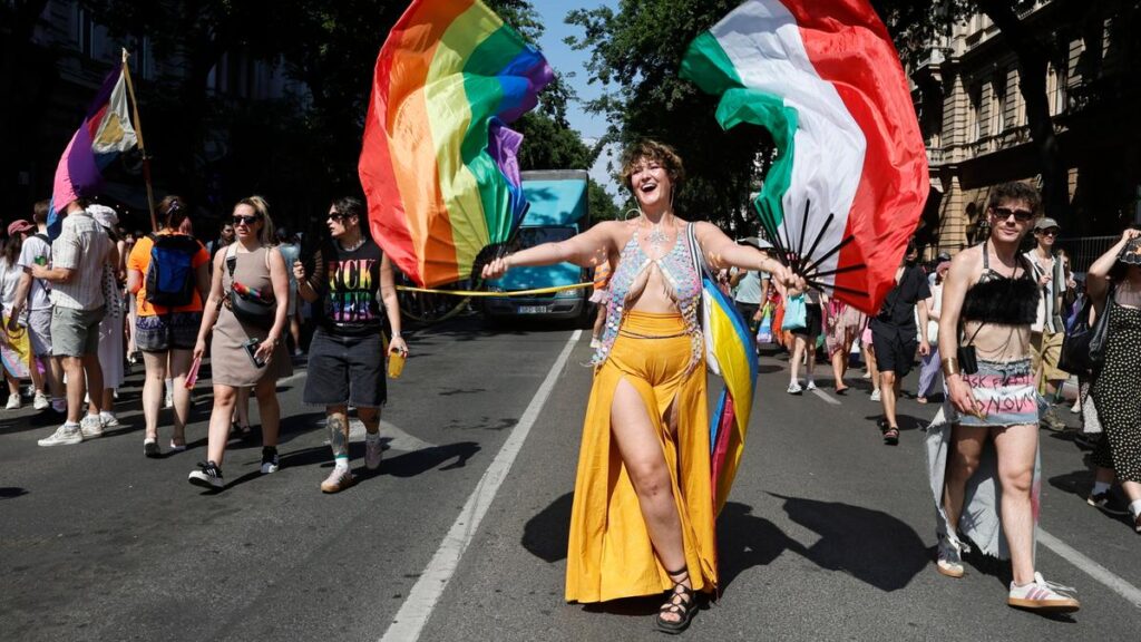 I libri queer in Ungheria censurati: la legge sulla propaganda limita i diritti civili