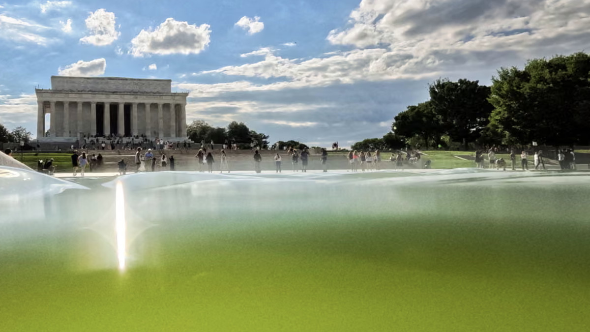 Il restauro da 14 milioni della Reflecting Pool di Washington porta a problemi di qualità e vandalismi