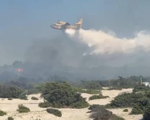 Incendio a Ugento, evacuati 700 turisti da camping e resort di lusso, presente anche Mario Balotelli