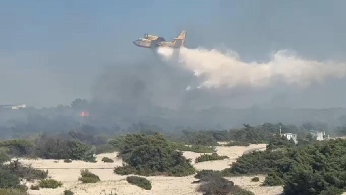 Incendio a Ugento, evacuati 700 turisti da camping e resort di lusso, presente anche Mario Balotelli
