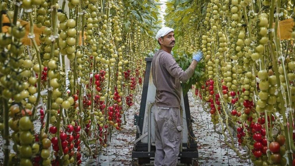 La lotteria del decreto flussi: pochi permessi di soggiorno rispetto alle domande in Italia