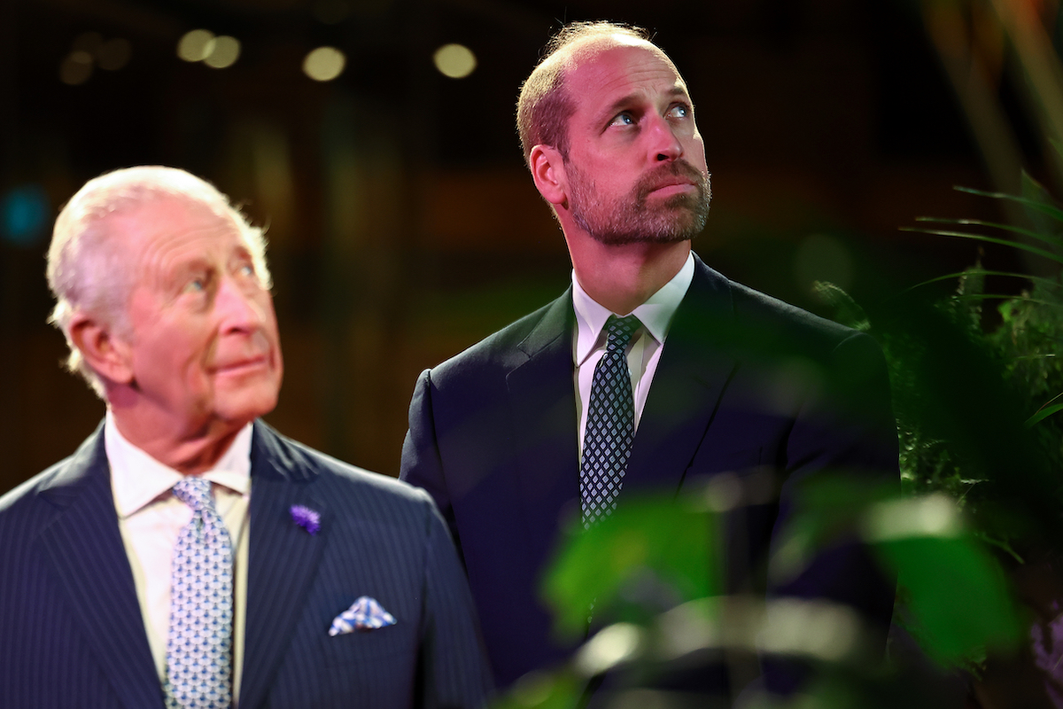 Re Carlo III e il principe William rivelano per la prima volta le tasse pagate dalla monarchia britannica