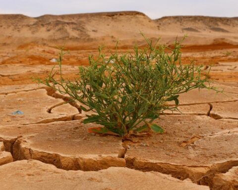 Rischi climatici in crescita: emissioni record e avviso su El Niño nel 2027