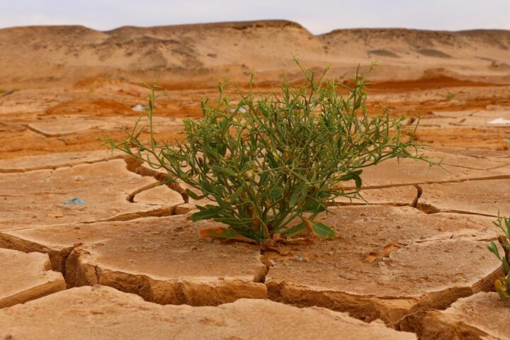 Rischi climatici in crescita: emissioni record e avviso su El Niño nel 2027