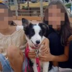 Ritrovate le sorelline di 16 e 12 anni scomparse da 15 giorni a Civitella Alfedena