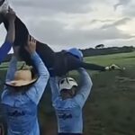 Una donna di 21 anni muore durante un rope jumping non assicurata in Brasile