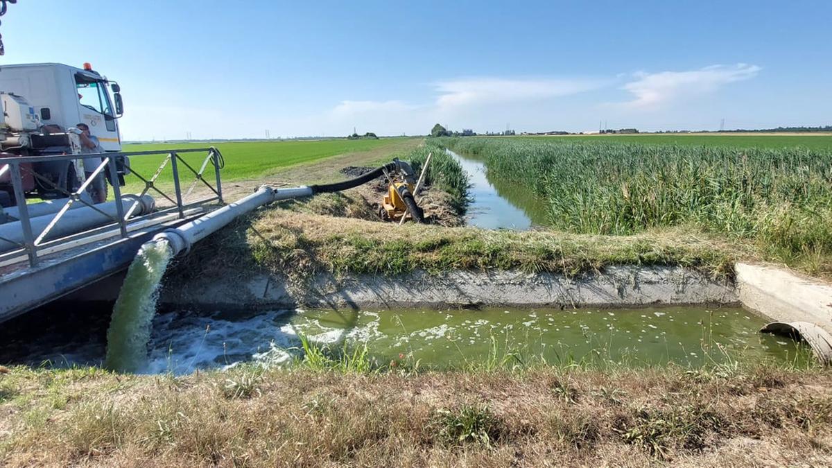 Allerta cuneo salino nel Po: coltivazioni a rischio dopo l'invasione del mare
