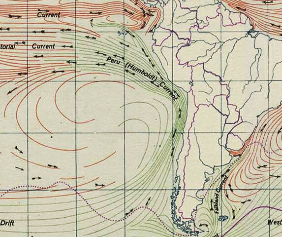 Aumento globale dei costi per gli allevamenti di pesce a causa della sospensione della pesca dell'acciuga peruviana