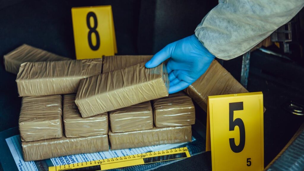 Cemento e cocaina: l'Ecuador rivoluziona lo smaltimento dei sequestri di droga