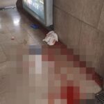 Due arresti a Milano: un algerino accoltella una 22enne marocchina in pieno giorno