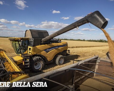 Il blocco delle importazioni di cereali da Ucraina e Russia crea incertezze anche per l'Italia