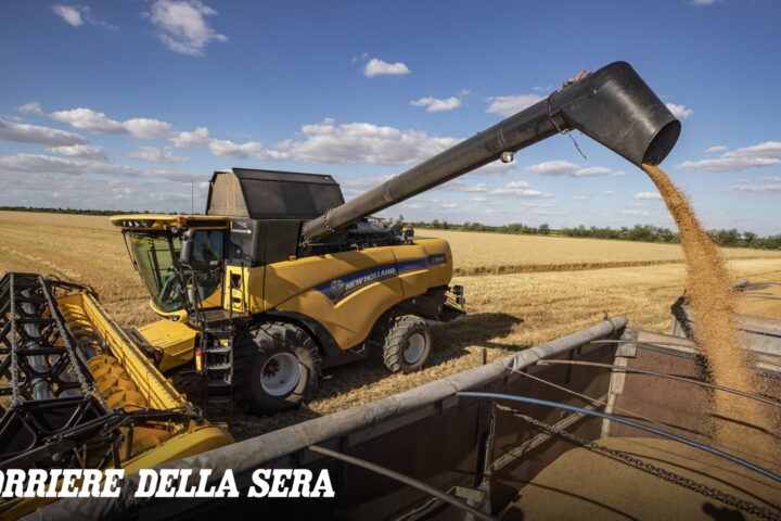 Il blocco delle importazioni di cereali da Ucraina e Russia crea incertezze anche per l'Italia