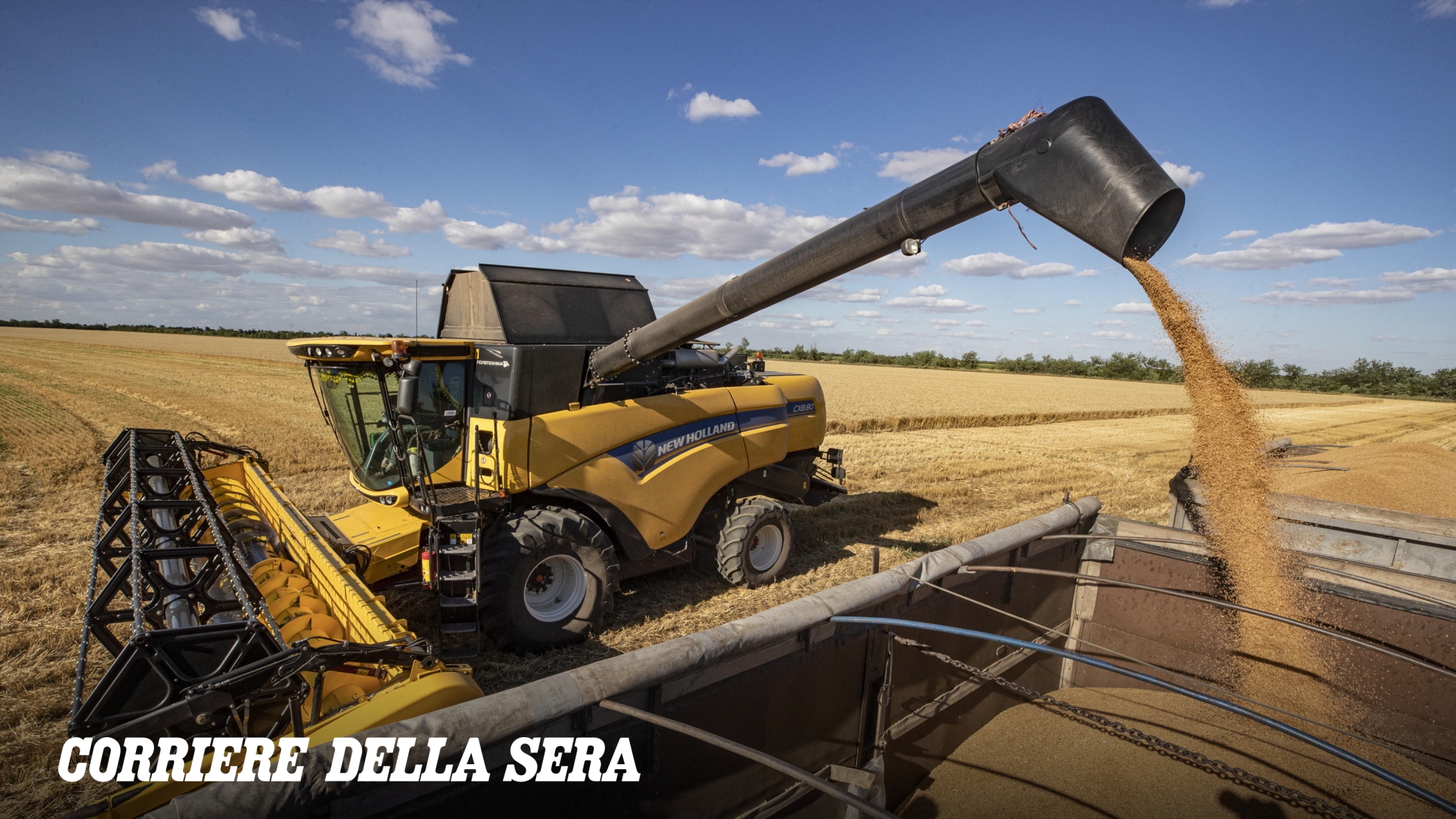 Il blocco delle importazioni di cereali da Ucraina e Russia crea incertezze anche per l'Italia