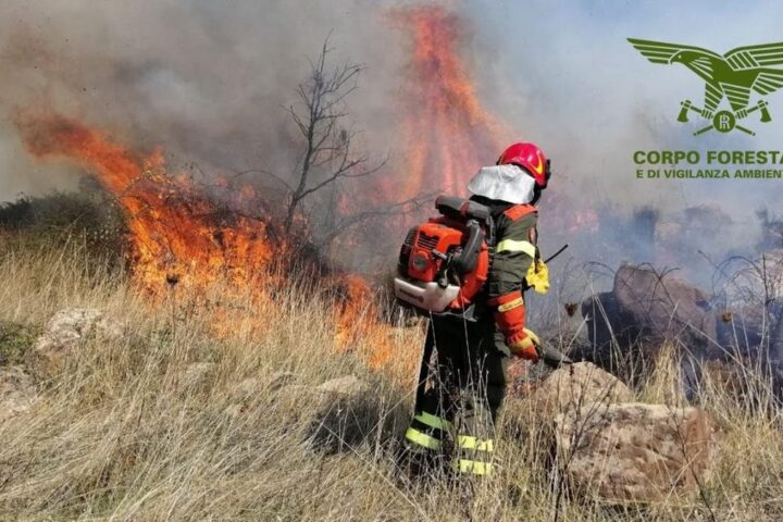 Il Sud Italia sotto il caldo estremo: punte di 46° in Sardegna e 45° in Sicilia