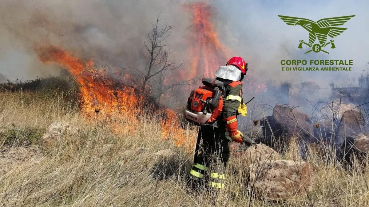 Il Sud Italia sotto il caldo estremo: punte di 46° in Sardegna e 45° in Sicilia