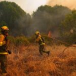 Incendi devastano Francia e Spagna, oltre 300mila evacuati e migliaia di ettari bruciati