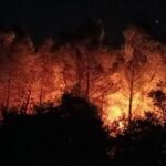 Incendi in Italia: i vigili del fuoco mobilitati da Piemonte a Sicilia