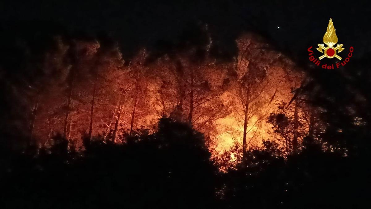 Incendi in Italia: i vigili del fuoco mobilitati da Piemonte a Sicilia