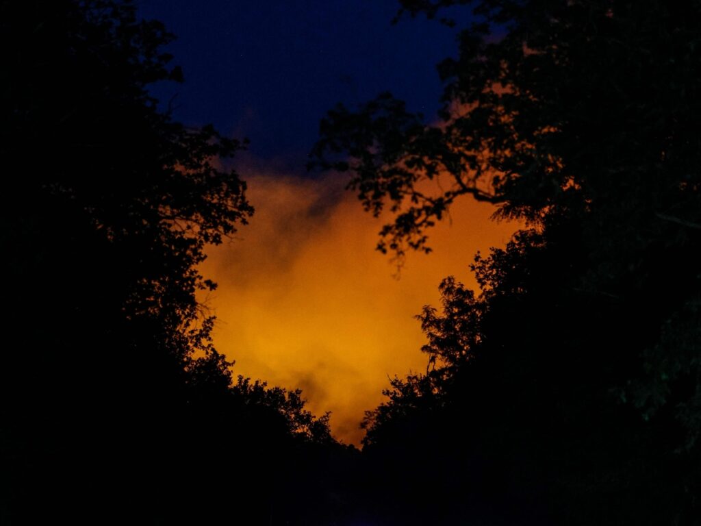 Incendio eccezionale nella foresta di Fontainebleau: bruciati oltre 300 ettari