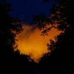 Incendio eccezionale nella foresta di Fontainebleau: bruciati oltre 300 ettari