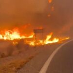 Incendio in Andalusia provoca dodici morti e 23 dispersi, regione in lutto