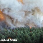 Incendio nella foresta di Fontainebleau, il governo sospetta un gesto doloso