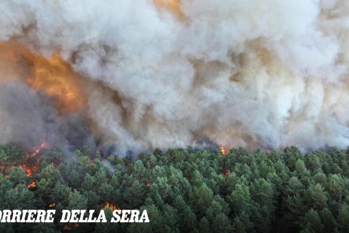 Incendio nella foresta di Fontainebleau, il governo sospetta un gesto doloso