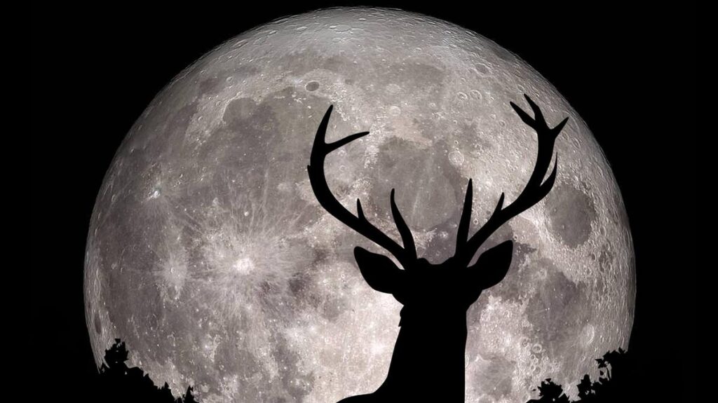 Luna piena del cervo: date e modalità per ammirare il fenomeno del 29 luglio