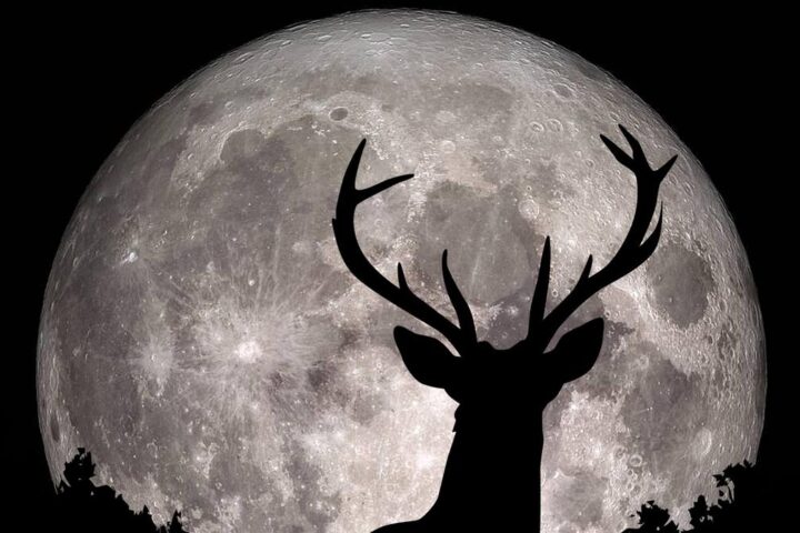 Luna piena del cervo: date e modalità per ammirare il fenomeno del 29 luglio