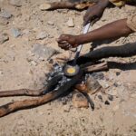 L'Unione Europea vieta l'importazione di oro dal Sudan per contrastare il finanziamento della guerra civile