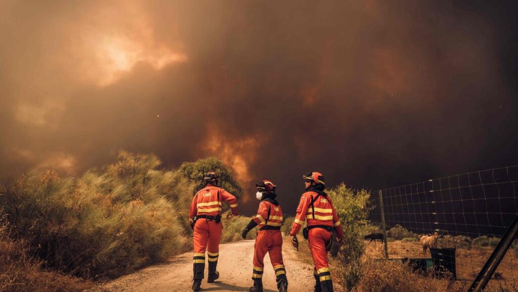 Ondata di caldo record in Italia: temperature oltre 40° e notti tropicali per 15 giorni