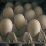 Scandalo cartello delle uova negli Stati Uniti: aziende accusate di manipolare i prezzi e patteggiano 3,3 milioni di dollari