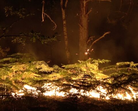 Un grande incendio sta devastando la foresta di Fontainebleau, vicino a Parigi