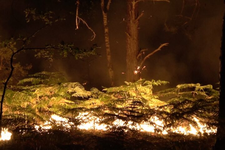Un grande incendio sta devastando la foresta di Fontainebleau, vicino a Parigi