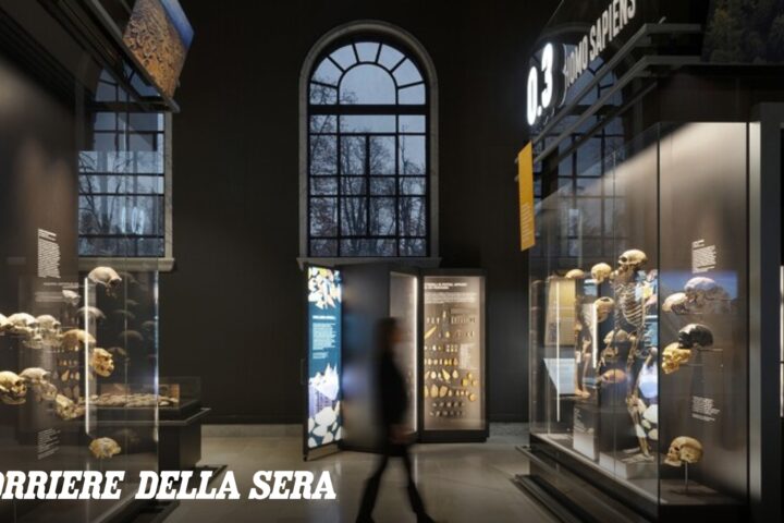 Visitare musei aumenta la longevità come l'esercizio fisico, afferma uno studio di Ucl