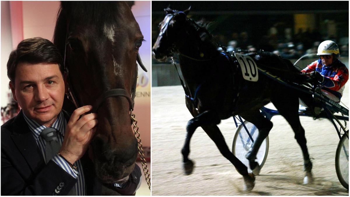 Addio a Varenne, il cavallo icona dell'ippica italiana: 62 vittorie in carriera e un'eredità unica
