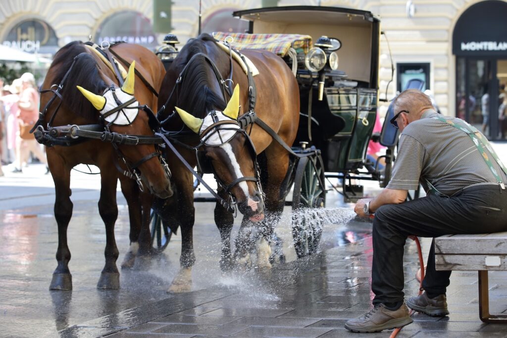 Austria registra la temperatura più alta di sempre: 40,8 °C a Vienna