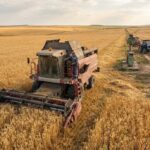 Il settore agricolo russo riduce produzione e redditività tra costi e carenze di carburante